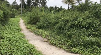 Nền góc 2 mặt tiền 272m2 – KV Bình Phó B, Long Tuyền, Bình Thủy, Cần Thơ.